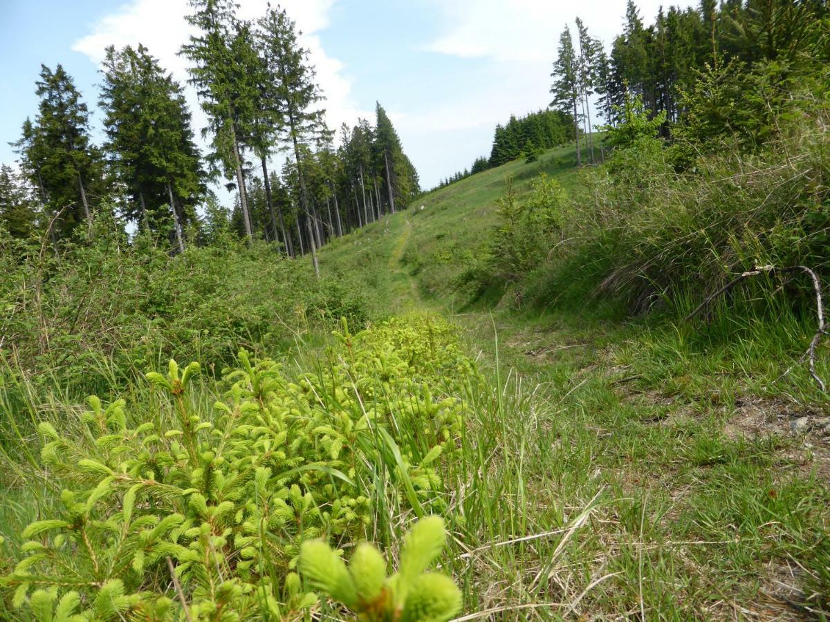 Kueken Winterberg Lägenhet Exteriör bild